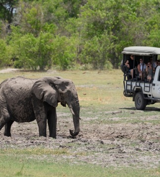 Südafrika Safarireise mit dem Overland Truck