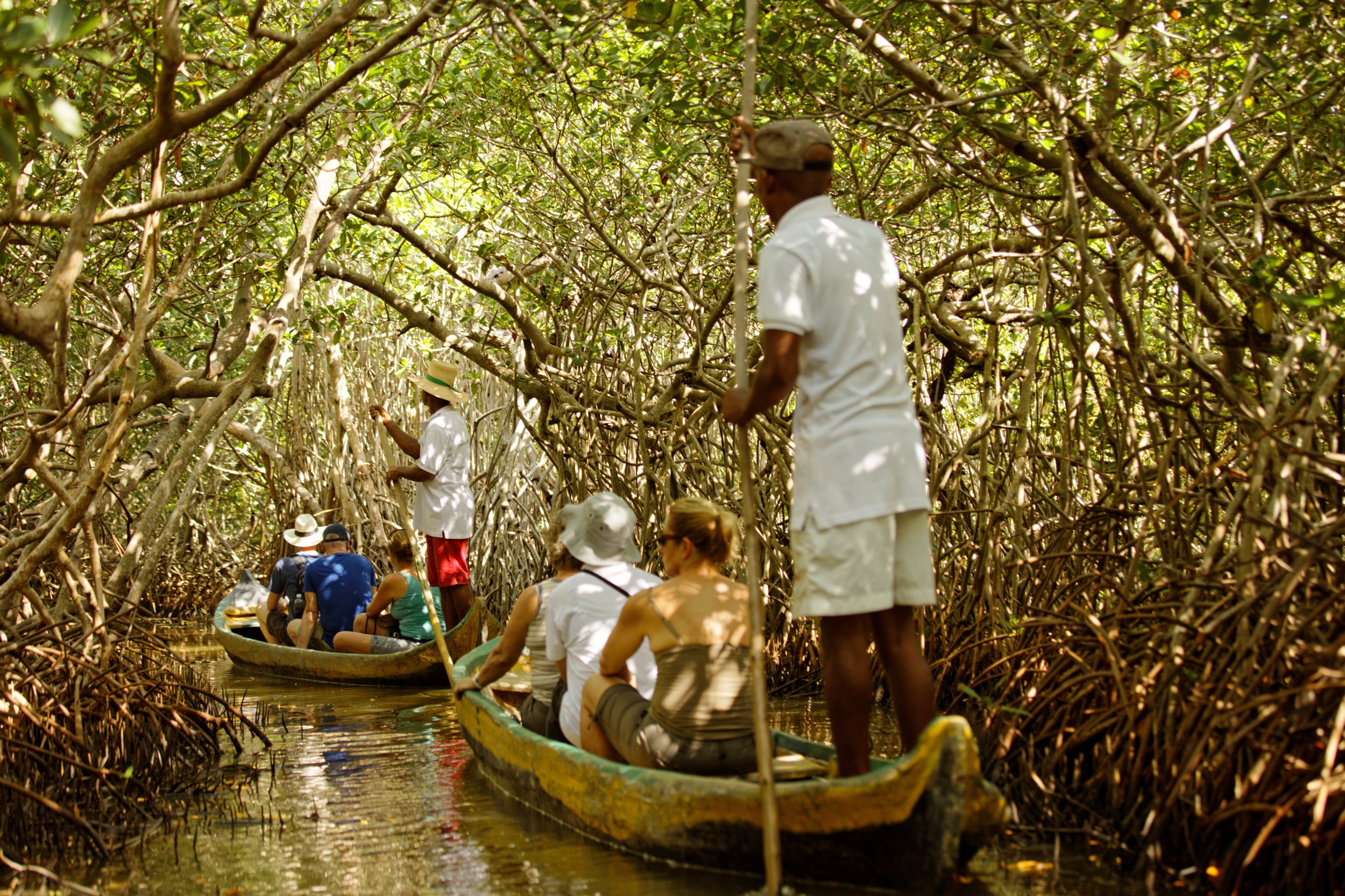 Cartagena Djungle: Kolumbiens Karibik