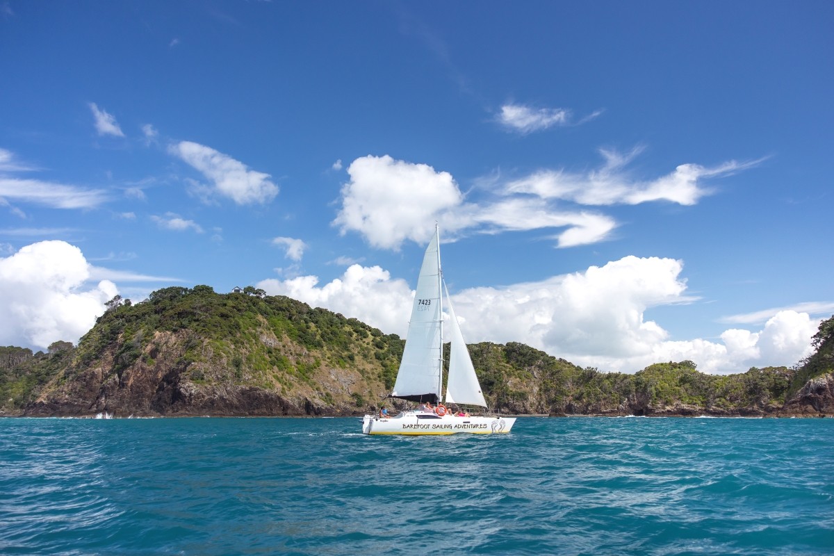Segeltörn in der Bay of Islands