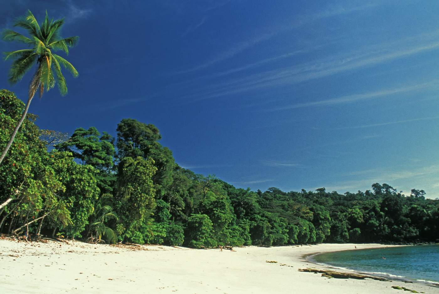 Manuel Antonio Nationalpark, Costa Rica