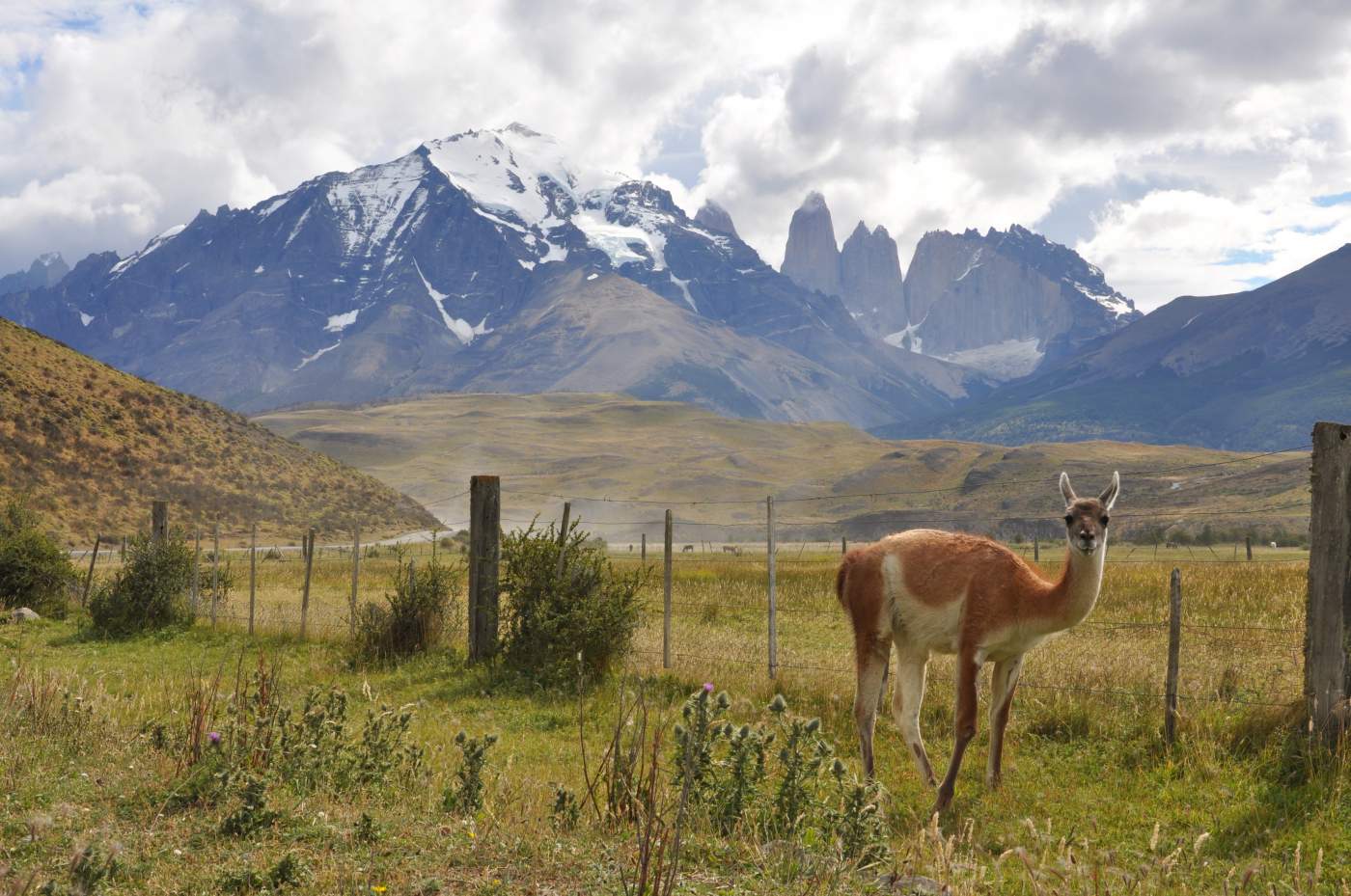 Torres del Paine